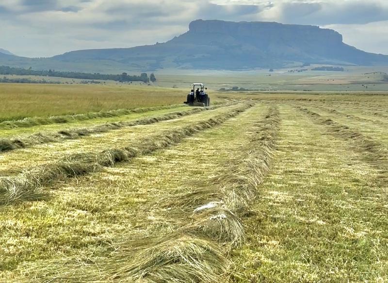 0 Bedroom Property for Sale in Harrismith Free State
